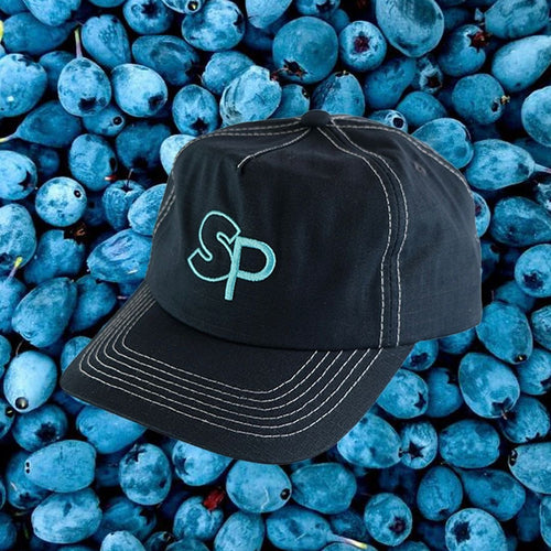 vintage 'blueberry' cap