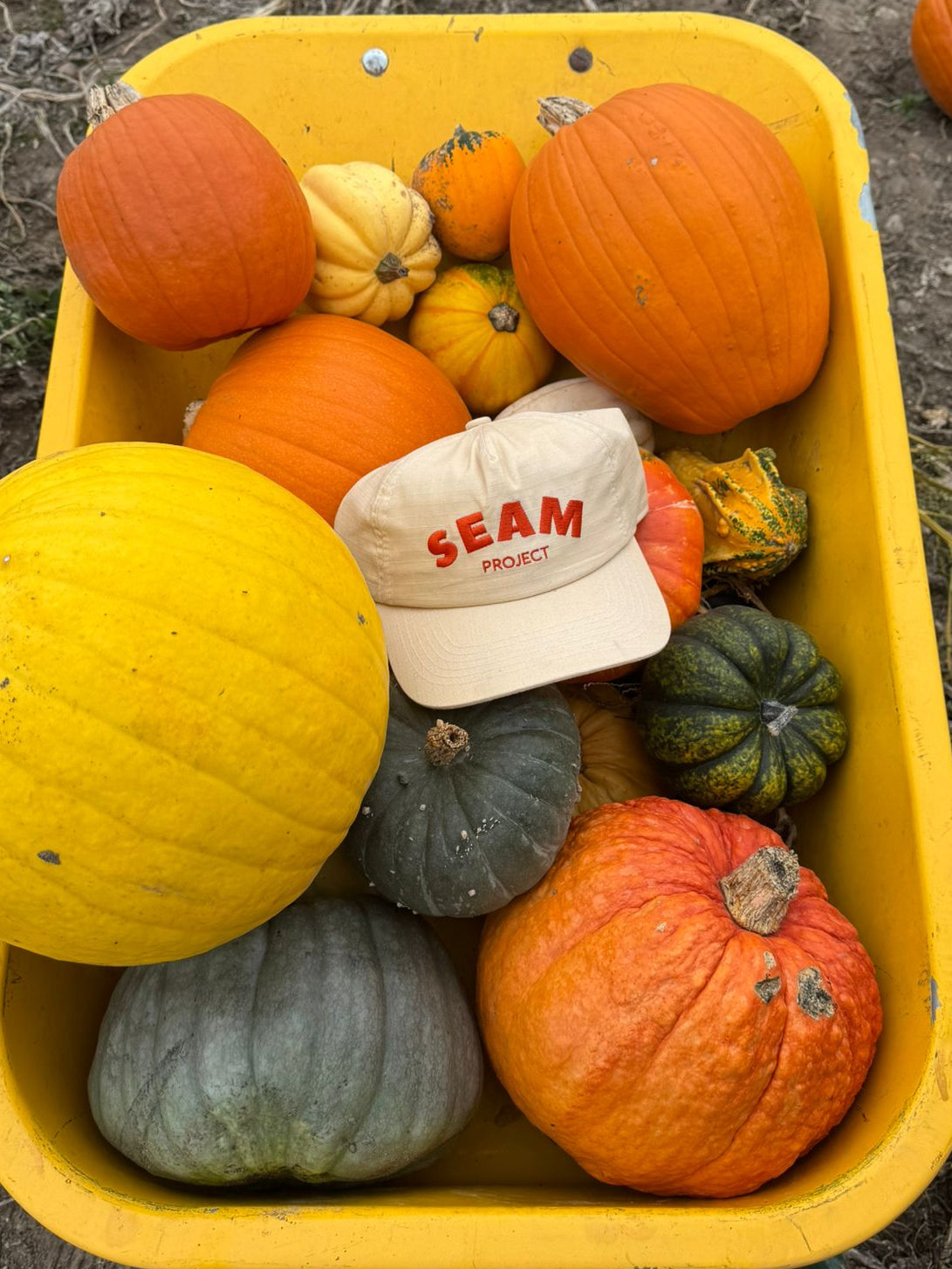 pumpkin cap